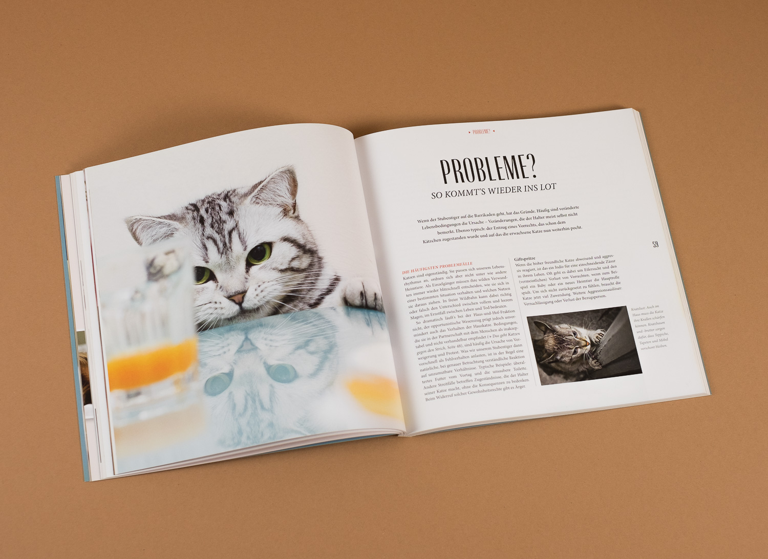 kral und kral design München